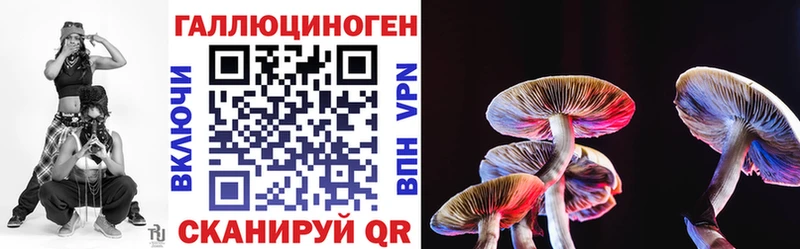 Псилоцибиновые грибы Magic Shrooms  Суджа 