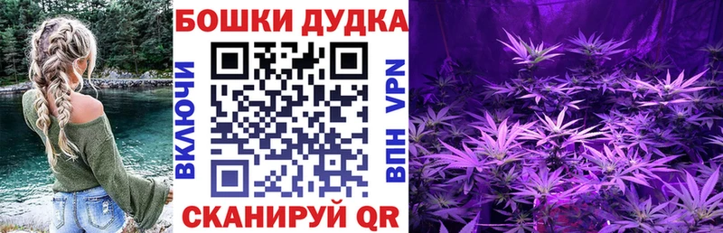 Канабис конопля  KRAKEN ссылка  Суджа 